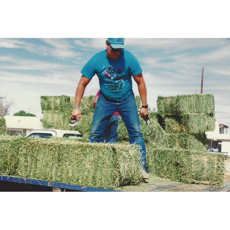 Shur-Hook: The Ultimate Hay Hook, Set of 2 Hay Hooks