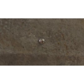 VamPLIERS VT-001PC VAMPLIERS VT-001 6.25" Screw Extractor Pliers with Tool Pouch and Cap