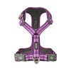 DOG Copenhagen Comfort Walk Air 3.0 Dog Harness - Harness
