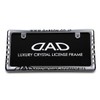 DAD Garson D.A.D Crystal License Frame II Rear Model [Chrome]