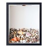 Shadow Box with Slot On Top, 8.5"x10.5" Seashell Display Case,