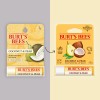 Burt's Bees Coconut and Pear Lip Balm, 1-Pack, 0.15 oz.