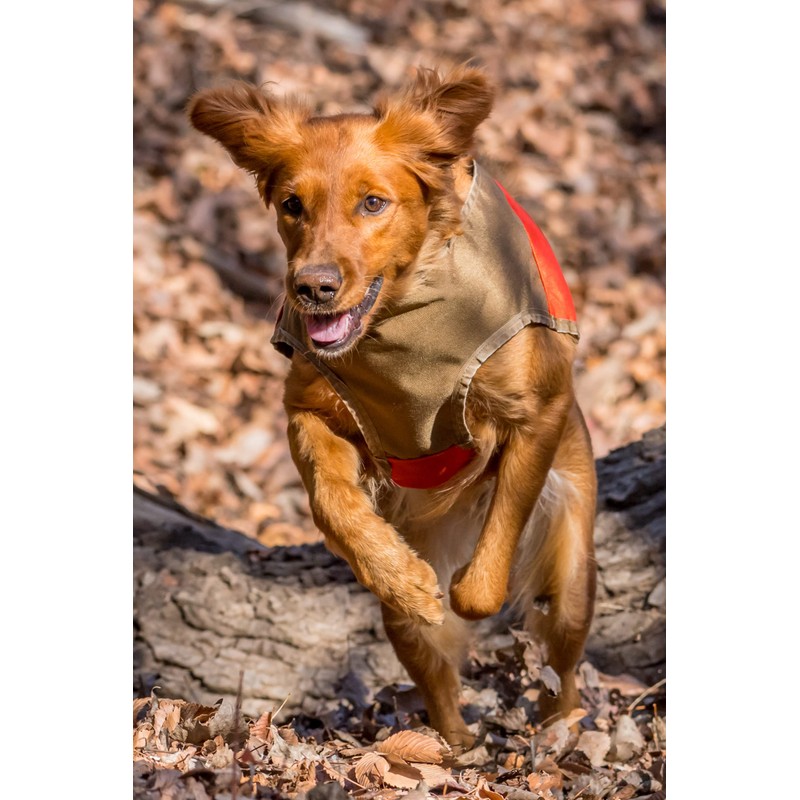 CUGA Vest Serious Protection for The Active Dog (MED, Orange/Coyote)