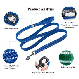 TRUE LOVE Reflective Dog Leash Puppy Walking Lead, Padded Pet Chain Rope，Length 200cm Truelove TLL2111(Royal Blue,L)