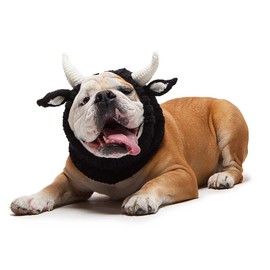 Zoo Snoods Bull Dog Costume - Neck and Ear Warmer Hood for Pets