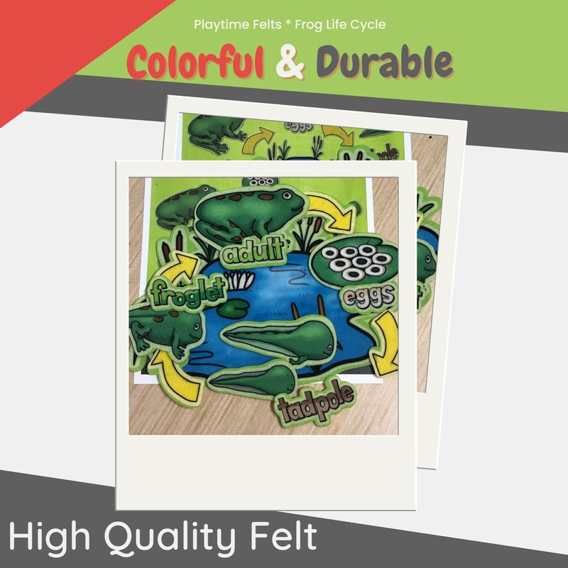 Playtime Felts Frog Life Cycle 14 Adorable PRECUT & Ready