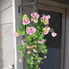 FAICOIA Artificial Flower for Hanging Basket Pink Artificial Geraniums Hanging