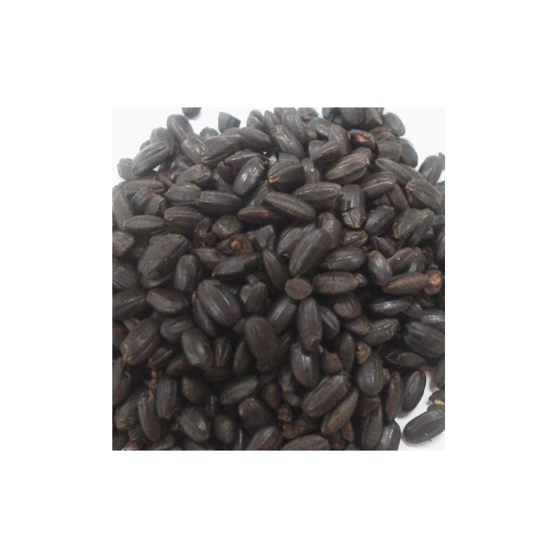Black Grilled Brown Rice [Live Tea] Heat Packaging 0.5 oz
