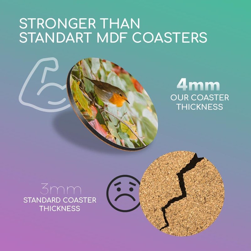 1 x Round Coaster - Cute Red Robin Bird Garden