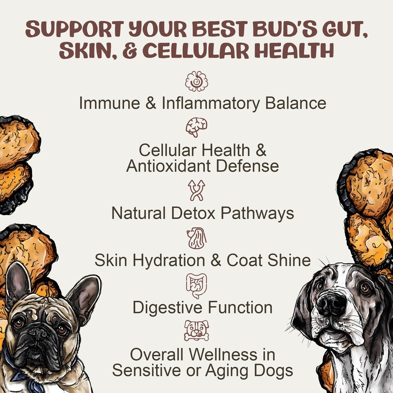 MycoDog Chaga Mushroom Supplement for Dogs - Immune Defense &
