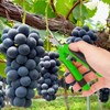 Biugaaufai 20 Pack 6.5 Inch Garden Pruning Scissors, Hand Pruner