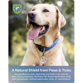 Natural Flea & Tick Repellent Collar Tag for Dogs & Cats – BioPower Pet Shield – Safe for Pets When Used as Directed – Lasts 1 Full Year - Standard Tag (2 Pack)