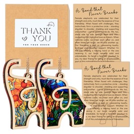 Friendship Elephant Easter Ornament with Story Card, Friendship Gifts for Women Tribe, Heartfelt Mother's Day Gifts for Best Friends Sisters, Sisterhood Special Bond Decor (Set 2 Suncatcher)
