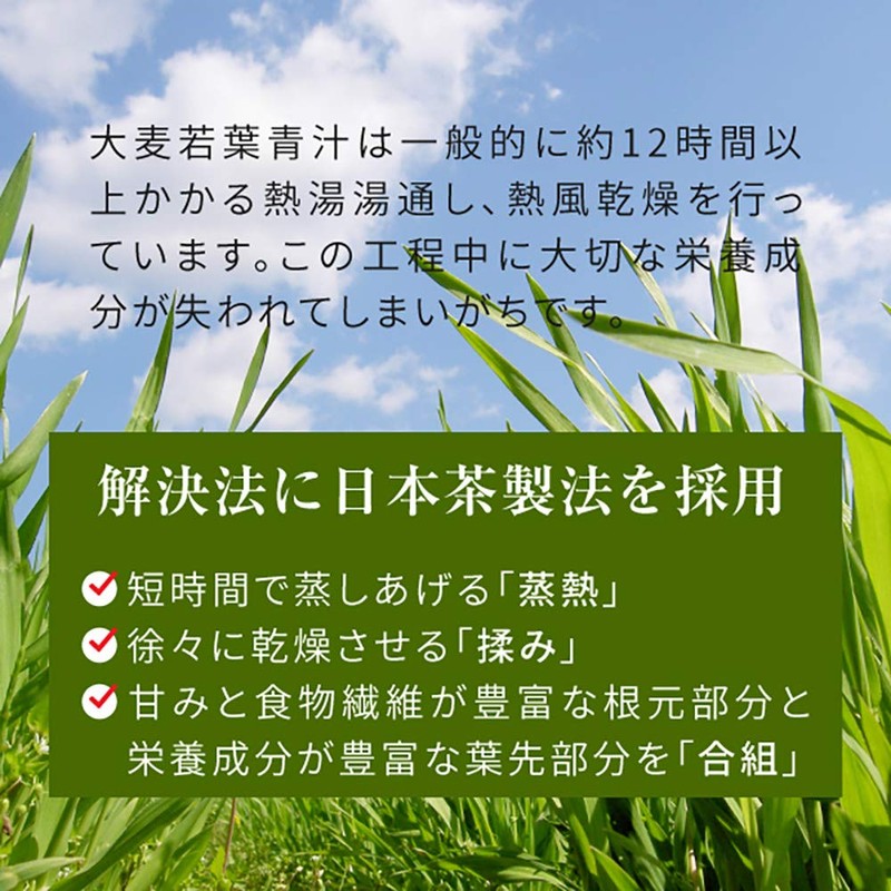 nichie 大麦若葉 青汁 100% 九州産 お茶製法 100g