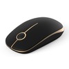Wireless Mouse - 2.4G Slim Portable Computer Mouse with Nano