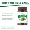 SONA Holy Basil Capsule - 1000mg Veg Capsules 100 Count