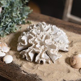 Artificial Coral Round 20 x 9 cm White Sea Decoration Mediterranean Table Decoration Maritime Coral