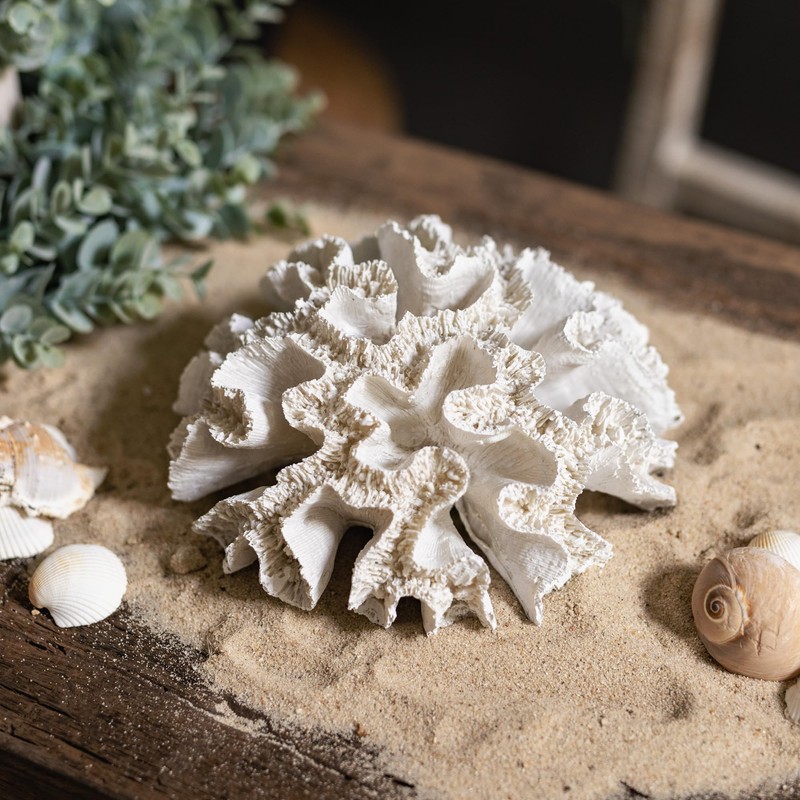 Artificial Coral Round 20 x 9 cm White Sea Decoration