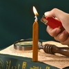 Feather Pen Set with 10 Interchangeable Nib Fire Lacquer Wax