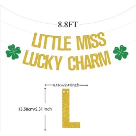 Little Miss Lucky Charm Banner,St. Patrick’s Day Party Decorations,Irish Birthday Baby Girl Party Decor,Girl St Patricks Day Lucky Four Leaf Clover Shamrock Party Supplies Gold