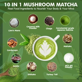 JUYIHEAL Mushroom Matcha | Japanese Ceremonial Matcha Infused with 7 Superfood Mushrooms, MCT Oil, Coconut Milk Powder | Energy, Focus, Digestion, Immunity 75g (15 Servings)