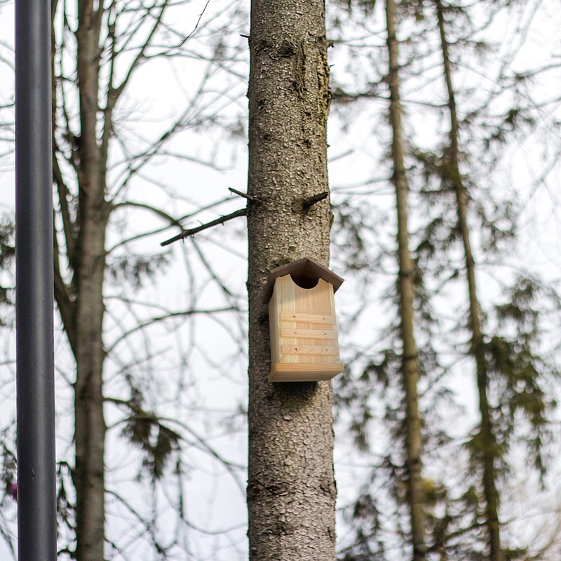 Outer Trails Owl Houses, Japanese Cedar, with Composite Weather-Tight Roof