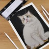 Dyvicl White Charcoal Pencils Drawing Set, 6 Pcs Sketch Highlight
