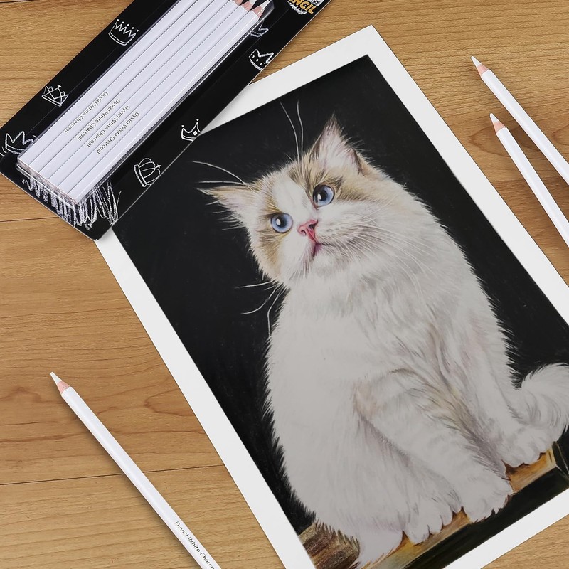 Dyvicl White Charcoal Pencils Drawing Set, 6 Pcs Sketch Highlight