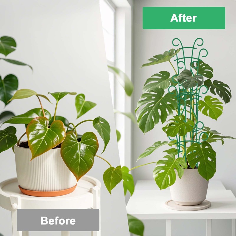 Qaobo Plant Trellis for Potted Plants 4 Pack Stackable Indoor