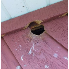 Viking Product Supply Woodpecker Deterrent | Flicker Repellent | Scare Woodpeckers off House | Get Rid