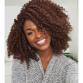 Hanne Fashion Short Kinky Curly Wigs Brown Side Part Wig Afro Curly Wig Heat Resistant Fiber Synthetic Full Wigs for Black Women (30#)
