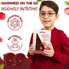 Fruit Roll Ups Healthy Snacks for Kids and Adults Vegan