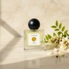 The acacia scent I was looking for [Acacia] - 30ml
