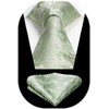 HISDERN Ties for Men Wedding Tie and Pocket Square Floral