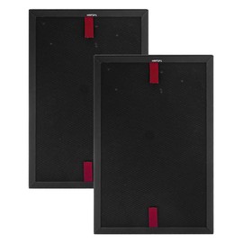 Byseacore HRFSP1 Filter S Replacement Compatible with Honeywell Air Purifier Pet Odor Filter for HPA3000 PowerPlus and HPA5000 Insight Series, 2 Count