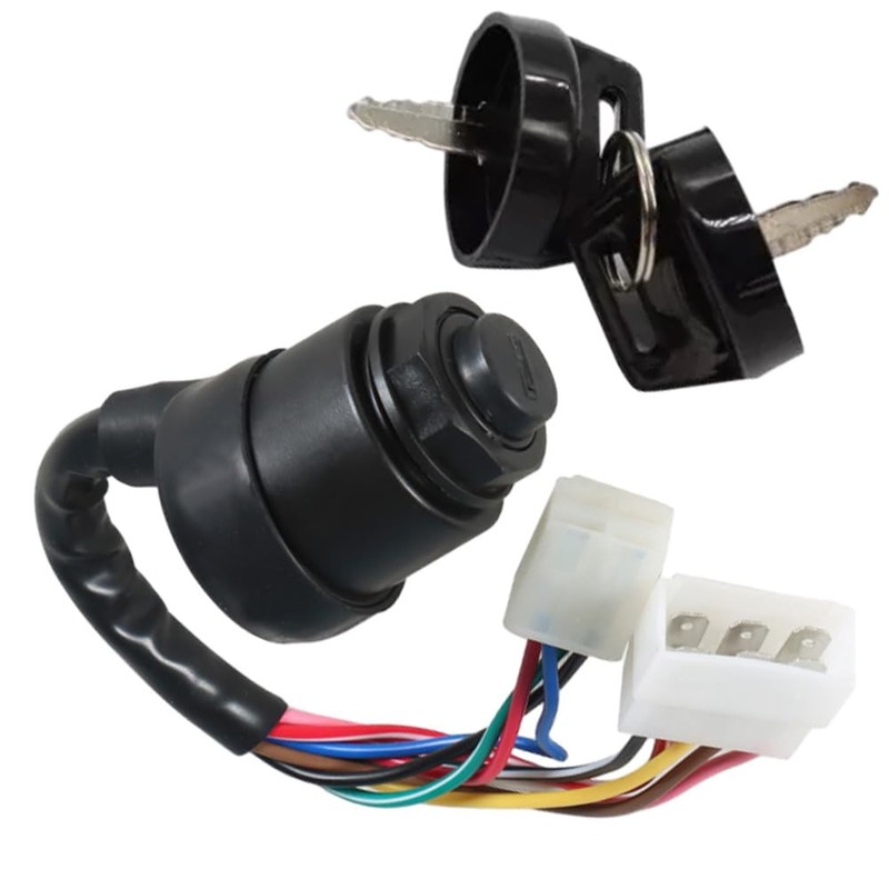 Riloer Black Ignition Key Switch Compatible with Yamaha Gas 2