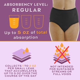 Wearever 6-Pack Women's Nylon Regular Absorbency Incontinence Panties Washable Reusable Bladder Control Briefs 150 ml 2X (Fits Hip 45-48")