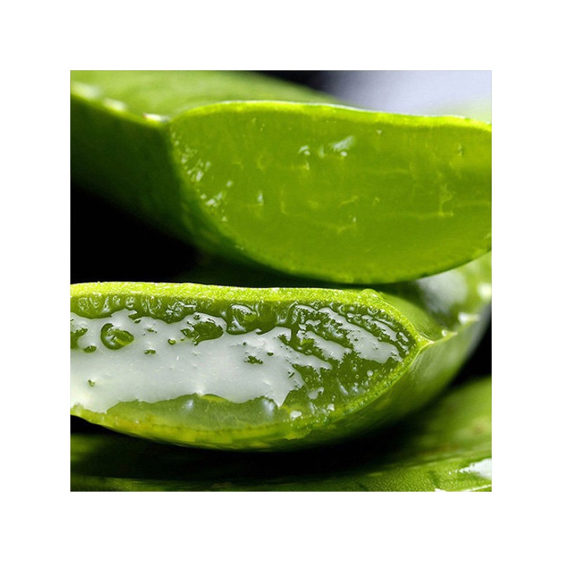 Kwon Do-young Aloe 유기농 생알로에 베라 1kg 식용 Organic Fresh