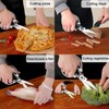 EVERNOOK Kitchen Shears Seafood Scissors Sharp Stainless Steel (Pack Of