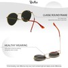 Classic Round Lens Metal Retro Sunglasses RFT7001 (Gold Frame Silver