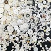 1600 botones de concha para manualidades, varios tamaños de concha
