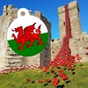 Spoilt Rotten Pets 38mm Diameter Wales, Welsh Flag, Red Dragon,