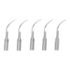 5pcs P1 Dental Clean Machine Tip Stainless Steel Heat Resistance