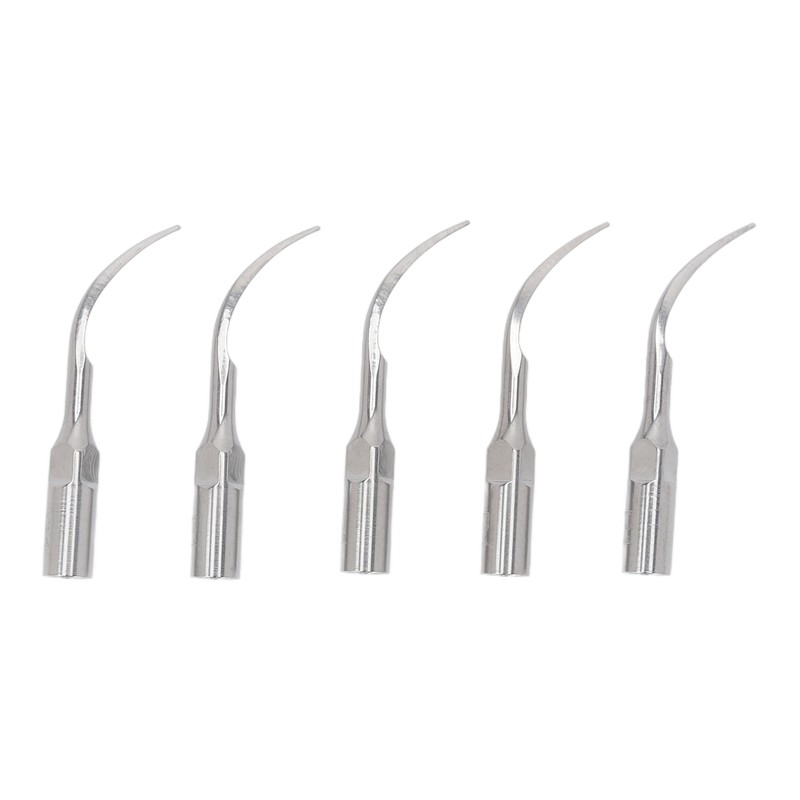 5pcs P1 Dental Clean Machine Tip Stainless Steel Heat Resistance