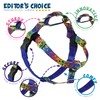 2 Hounds Design - Freedom No-Pull Harness & Training Leash