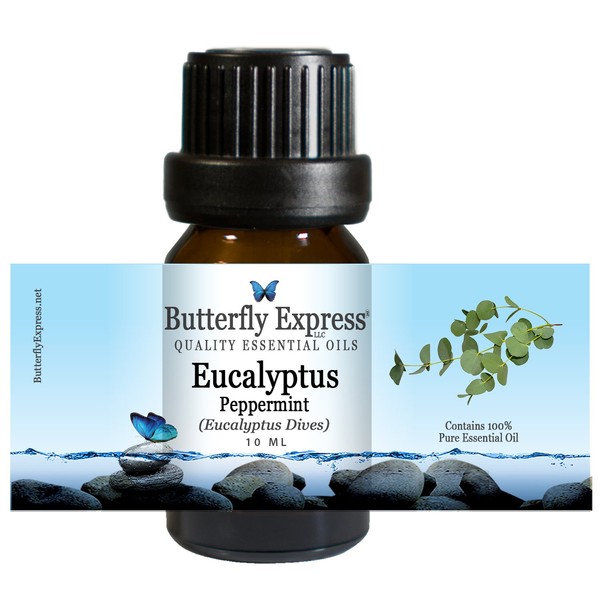 Eucalyptus Peppermint Essential Oil 10ml - 100% Pure - by Butterfly Express