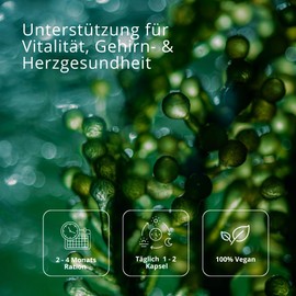 AgilNature Omega3Agil 120 Kapseln, 2-4 Monats-Ration - Nahrungsergänzungsmittel für Vitalität, Gehirn- & Herzgesundheit, Algenöl mit EPA und DHA, vegan