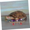Sosoport Real Turtle Pet Toy Mini Skateboard Scooter for Bearded