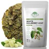 50 White Mulberry Tea Mulberry Leaf Herbal Tea (Morus alba)