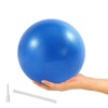 ElwynnLane 9 Inch Exercise Pilates Ball Mini Exercise Barre Ball